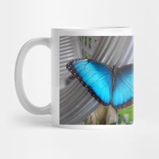 Brilliant Blue Butterfly Mug